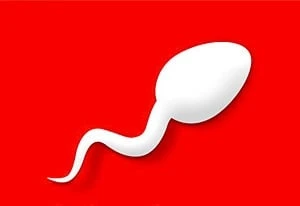 Bitlife Life Simulator